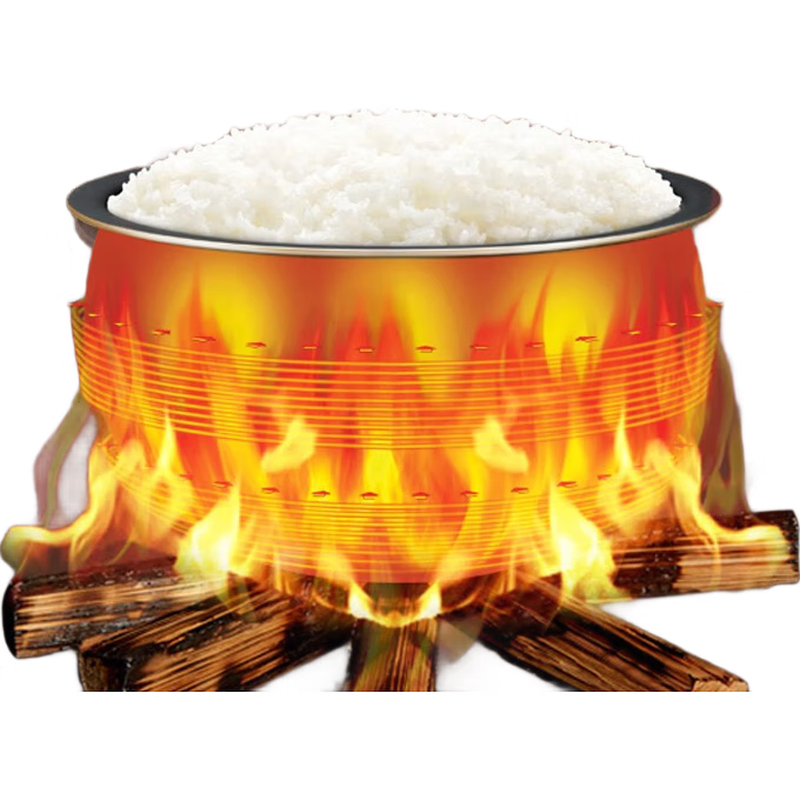 苏泊尔（SUPOR）电压力锅家用3L多功能精钢球釜高压锅煮饭锅 一锅双胆 智能预约 SY-30FC12Q SY-30FC12Q/台