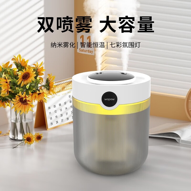 沃品（WOPOW）双喷2L加湿器 HM17 HM17/个