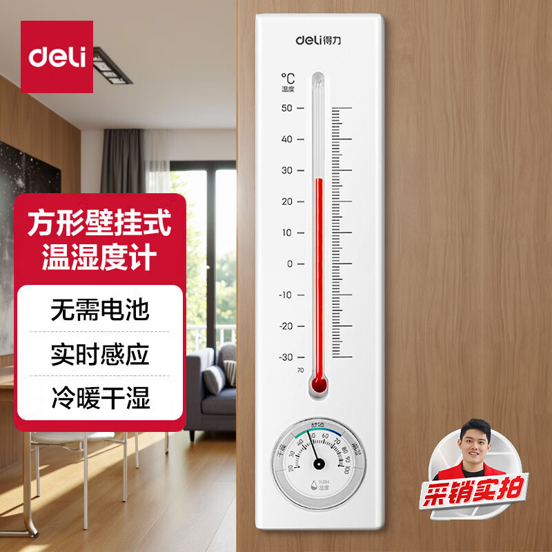 得力（deli）壁挂式温湿度计 免电池简约家用温度表 室内高精度 白色 9013S 9013S/卡