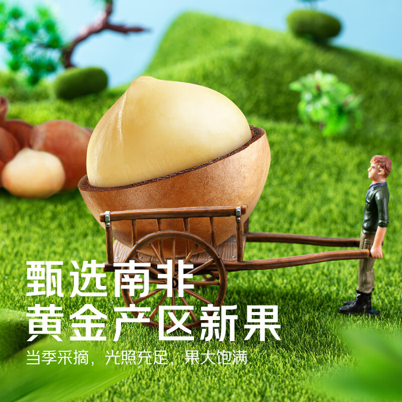 洽洽京觅夏威夷果原味罐装1111g 办公室坚果零食干果炒货休闲食品 洽洽京觅夏威夷果原味罐装1111g/罐